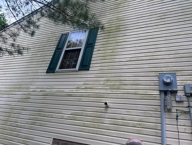 Before Image