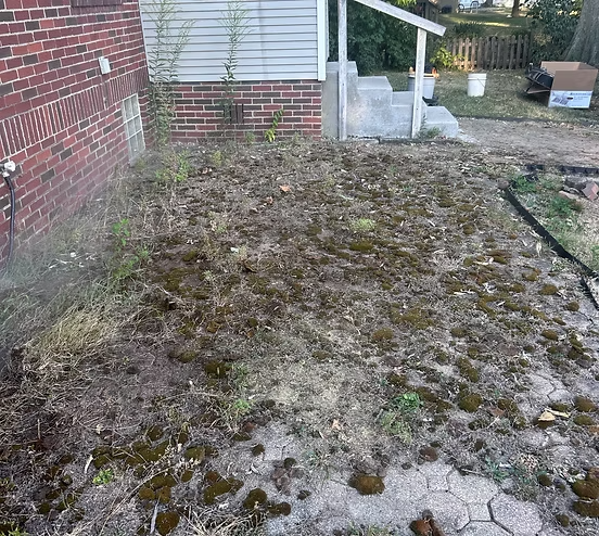Before Image